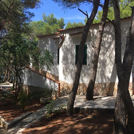 Residence M3 Peschici Exterior foto